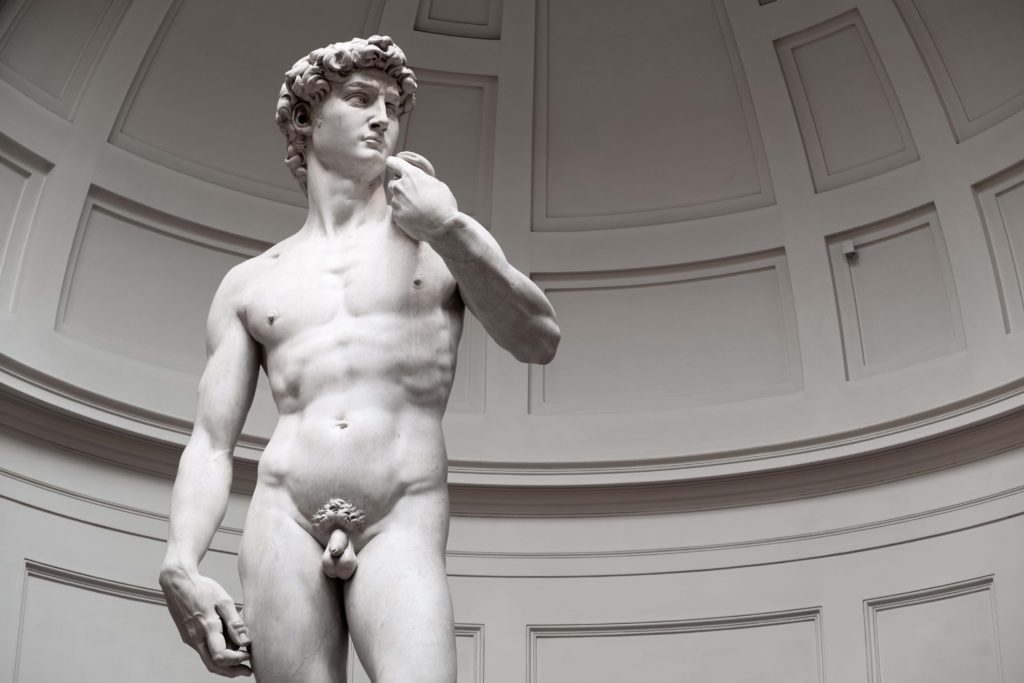 Il David di Michelangelo all'Accademia